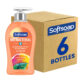 Antibacterial Liquid Hand Soap Pump